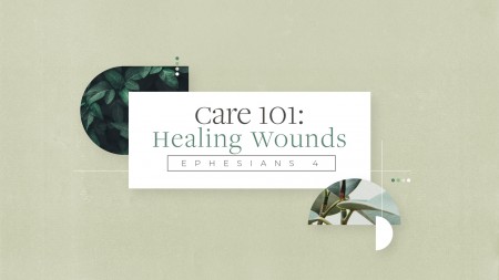 Care 101 - Healing Wounds